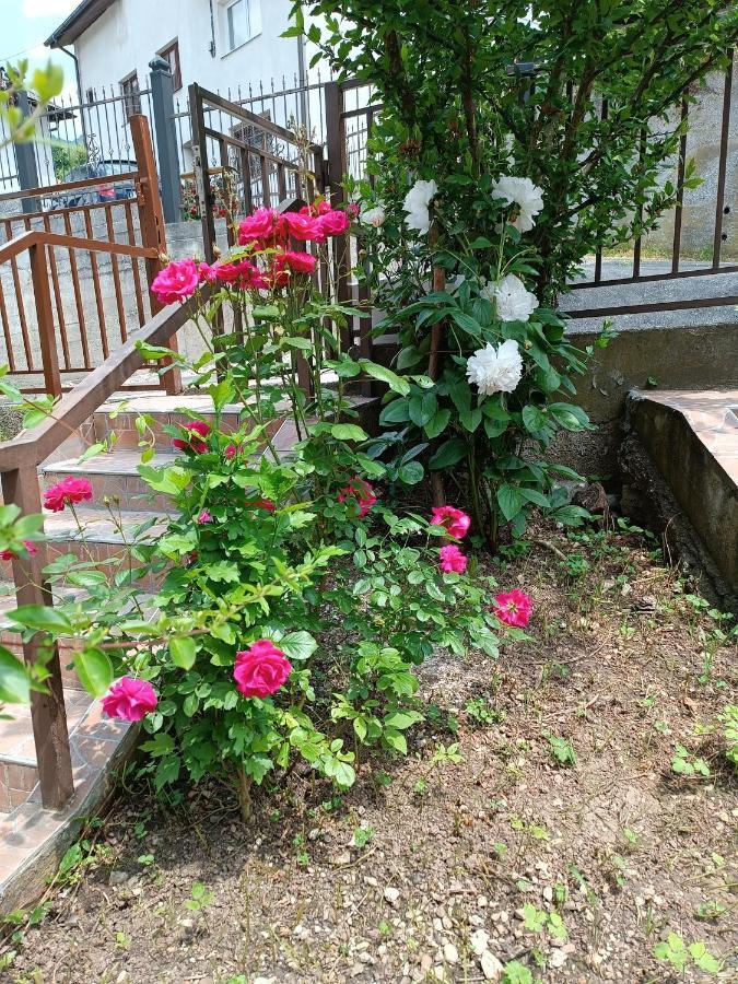 Apartmani Ba Sarajewo Zewnętrze zdjęcie